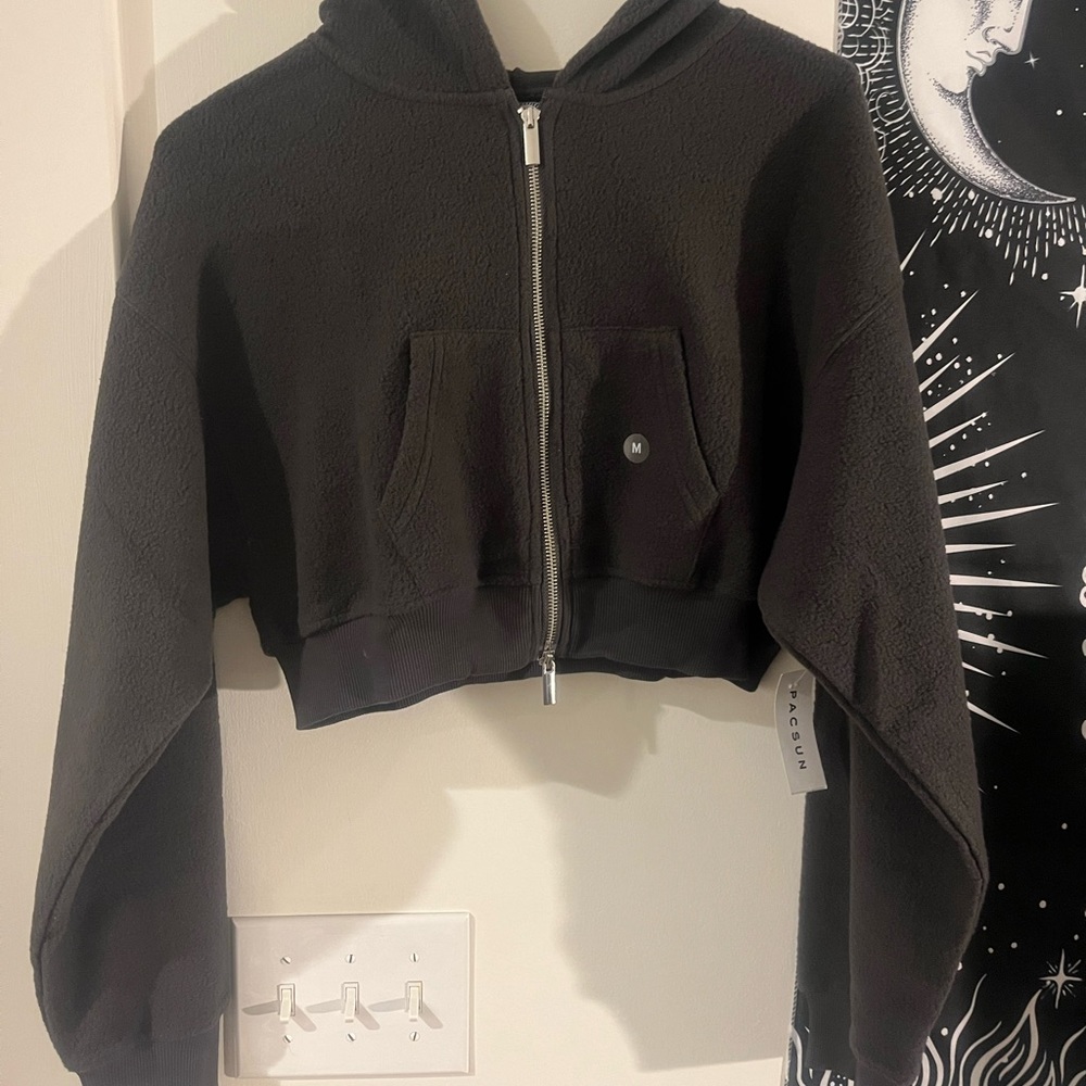 Pacsun Reverse Fleece Cropped Hoodie